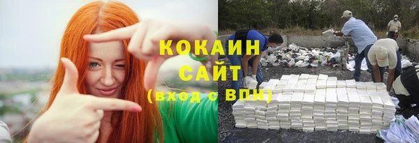 дживик Алзамай