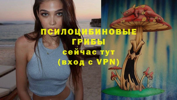 шишки Алексеевка