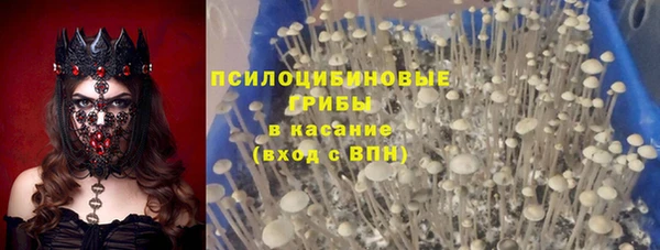 дживик Алзамай
