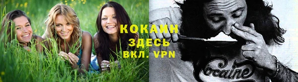 дживик Алзамай